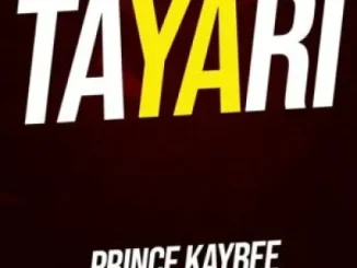 feat. Prince Kaybee Idd Aziz has put a lot of effort into this brand-new popular song called "Tayari.