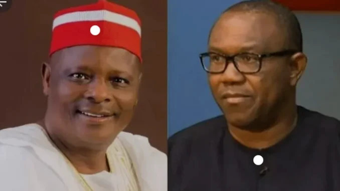 The dissident said Obi's capability is Nigeria's expectation's at this critical time and Kwankwaso would have been an ideal decision for Vice President.