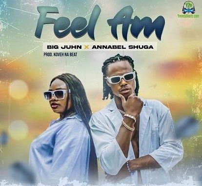 This wonderful song, entitled Feel Am, is presented by Shugavibes Entertainment.