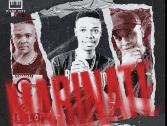 BL Zero, Lebzito & Kamo the Vocalist – Marinate ft. Major League DJz & DJ Karri | Amapiano