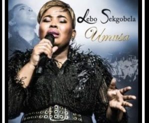 Umusa best collection by Lebo Sekgobela Songs |