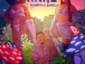 Moliy – Hard ft. Moonchild Sanelly Mp3 Download