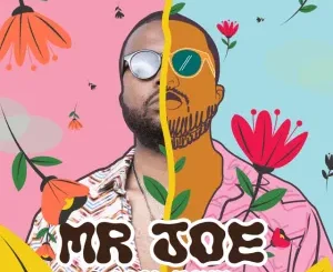 Mr Joe – Stranger ft. Mavathii Mp3 Download