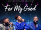 Nqubeko Mbatha, Ayanda Ntanzi, Ntokozo Mbambo – For My Good Mp3 Download