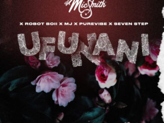 PureVibe, Robot Boii & M.J – Ufunani ft. DJ Mic Smith & Seven Step Mp3 Download