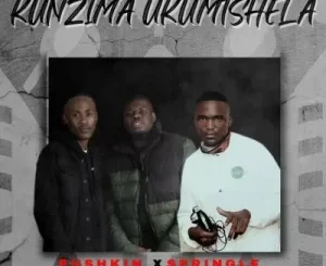 Pushkin & Springle – Kunzima Ukumtshela ft Dash SA, Mankay & Choco Dynasty Mp3 Download