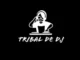 Tribal De DJ & Djy 18 Vodka RSA – Bassline Massacre [Bique Mix] Mp3 Download