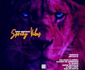 Various Artists – Deep Error56 Spring Vibes Zip EP Download