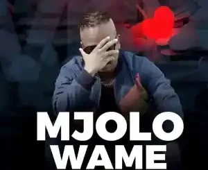 Vee Mampeezy – Mjolo Wame Mp3 Download