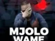 Vee Mampeezy – Mjolo Wame Mp3 Download