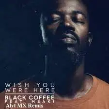 Black Coffee – Wish You Were Here Ft. Msaki (Alyt MX Remix) Mp3 Download