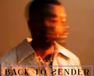 Skiibii – Back To Sender Mp3 Download