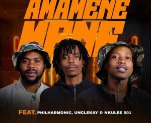 AmaQhawe – Amamenemene ft. Philharmonic, UncleKay & Nkulee501 Mp3 Download.