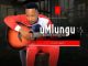 Download MP3: UMlungu – Unyaka Wami